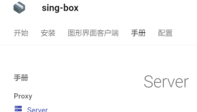 2024最新主流，Sing-Box手动搭建reality和hysteria2教程(无需域名)